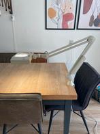 Loeplamp met verlichting voor hobby en lezen (senioren?), Ophalen, Gebruikt, Loeplamp