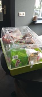 Hamsterkooi, Kooi, Gebruikt, Minder dan 75 cm, Hamster
