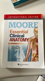 Essential Clinical Anatomy, Spiritualiteit algemeen, Ophalen of Verzenden, Zo goed als nieuw, Arthur F. Dalley, Anne M. R. Agur