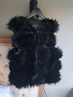 Gilet bodywarmer vestje bond maat s 36, Zwart, Ophalen of Verzenden, Zo goed als nieuw, Coolcat