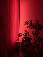 Philips Hue Signe Staande lamp - White and Color, Huis en Inrichting, Lampen | Vloerlampen, Ophalen, Zo goed als nieuw, 150 tot 200 cm