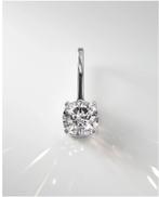 Zeeman Lab Grown Diamant 0.1ct, Overige voorstellingen, Wit, Naturalis.nl, Nieuw