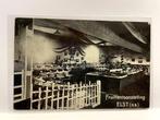 Elst - Fruittentoonstelling, Verzenden, Voor 1920, Gelopen, Gelderland