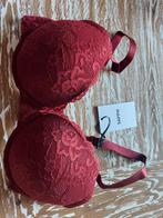 SAPPH push up bh Odetta 75D bordeaux rood, Ophalen of Verzenden, Sapph, BH, Rood