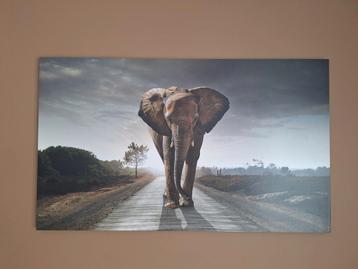 Schilderij wandelende olifant van Reinders 70×118 beschikbaar voor biedingen
