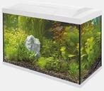 Super fish aquarium 100L, Dieren en Toebehoren, Ophalen, Gebruikt, Leeg aquarium