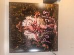 Melanie Martinez Vinyl, Cd's en Dvd's, Vinyl | Overige Vinyl, Ophalen of Verzenden, Zo goed als nieuw
