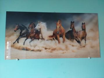 Foto op glas, paarden, 120 bij 60, glasschilderij beschikbaar voor biedingen