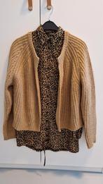 Vestje met wol 36 met langere panterprint blouse 38, Bruin, Ophalen of Verzenden, Zo goed als nieuw, Norah