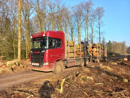 Rondhout Stamhout te koop!, Tuin en Terras, Haardhout, Stammen, Overige houtsoorten, Ophalen of Verzenden