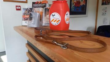 Prachtige leren hondenhalsband- en riem beschikbaar voor biedingen
