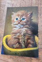Rode kitten in een mandje, Verzenden, 1980 tot heden, Gelopen, Hond of Kat