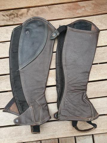 Zwartbruine chaps S beschikbaar voor biedingen