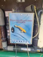 Koi's en filter systeem, Dieren en Toebehoren, Karper of Koi