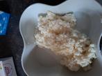 geitenmelk kefirkorels, Diversen, Levensmiddelen, Ophalen