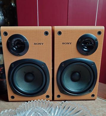 SONY SS CCP1 beschikbaar voor biedingen