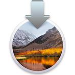 Mac OS High Sierra bootable USB installatie stick, Ophalen of Verzenden, Nieuw, MacOS