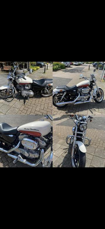 Harley Davidson sportster 883 superlow beschikbaar voor biedingen