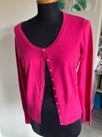 Super leuk vestje van Vanity maat M bijna gratis, Kleding | Dames, Truien en Vesten, Ophalen of Verzenden, Zo goed als nieuw, Maat 38/40 (M)