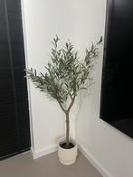 Olijfboom met pot, Huis en Inrichting, Woonaccessoires | Kunstplanten en Kunstbloemen, Ophalen of Verzenden