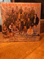 Lp kerstfeest in het noorden, Ophalen of Verzenden, Gebruikt, Levenslied of Smartlap