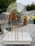 Vogelkooi mét alles - moet snel weg, Ophalen, Gebruikt