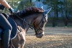 Moeder & dochter zoeken leuke verzorg- of leasepony / -paard, Dieren en Toebehoren, Paarden en Pony's | Overige Paardenspullen