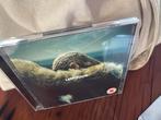 Beyoncé - Lemonade CD, Ophalen of Verzenden, 2000 tot heden, Zo goed als nieuw