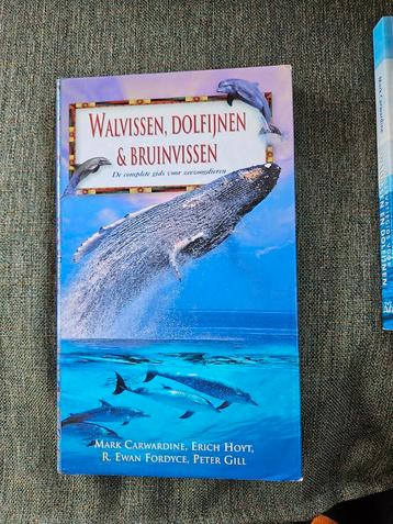 Boek Walvissen, dolfijnen & bruinvissen  beschikbaar voor biedingen