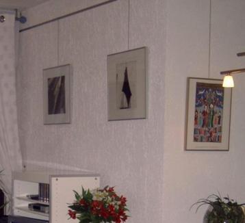 BARTH ophangsysteem voor schilderijen, kunst e.d. beschikbaar voor biedingen