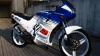 Honda nsr50 gezocht, Fietsen en Brommers, Brommers | Honda, Ophalen, Zo goed als nieuw, Overige modellen