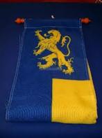 Leeuwarder of Gemeente wimpel of vlag, Ophalen of Verzenden, Nieuw