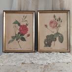 Rozenprenten Redoute, Antiek en Kunst, Ophalen of Verzenden