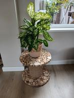 Bijzettafeltje van houten katrol, Ophalen of Verzenden, Nieuw