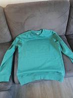 HEMA sweater, maat M, heren, Kleding | Heren, Truien en Vesten, Ophalen of Verzenden, Nieuw, Maat 48/50 (M), Groen