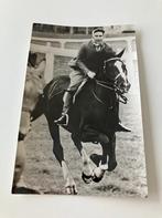 16. Anefo persfoto, Koningin Elizabeth rijdt paard op Ascor, Verzamelen, Koninklijk Huis en Royalty, Gebruikt, Kaart, Foto of Prent
