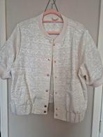 Tramontana jasje vest bomber 42 zgan, Overige kleuren, Tramontana, Maat 42/44 (L), Ophalen of Verzenden