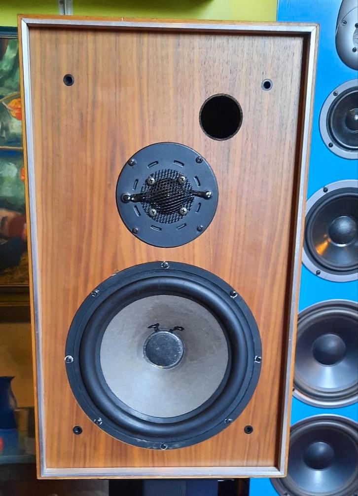 Te koop Wellex E2002 luidsprekers met seas drivers, Audio, Tv en Foto, Luidsprekers, Front, Rear of Stereo speakers, 120 watt of meer