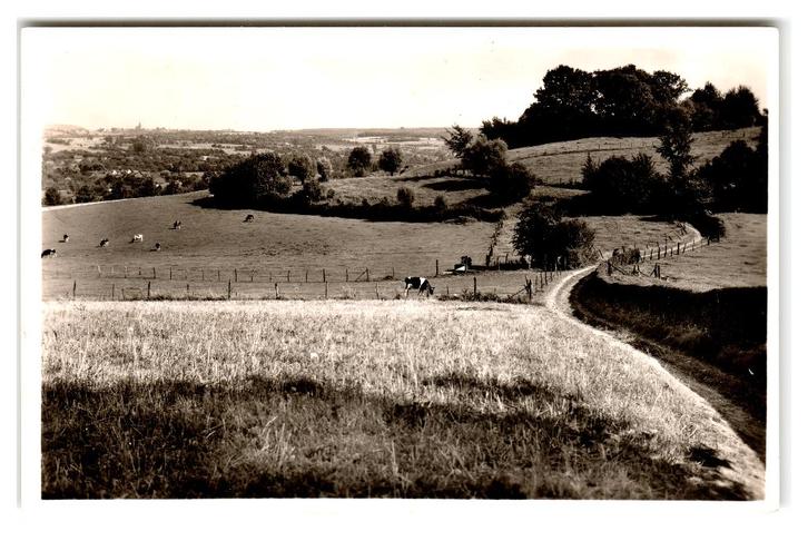Mechelen, "De Suikerknip", Verzamelen, Ansichtkaarten | Nederland, Gelopen, Limburg, 1940 tot 1960, Ophalen of Verzenden