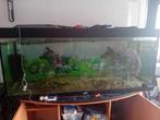 Aqarium met toebehoren, Dieren en Toebehoren, Vissen | Aquaria en Toebehoren, Ophalen of Verzenden, Gebruikt, Leeg aquarium