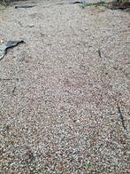 Rode Steentjes / Grind voor Tuin of Oprit, Tuin en Terras, Overige materialen, Gebruikt, Ophalen of Verzenden, Grind