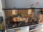 Terrarium, Dieren en Toebehoren, Ophalen