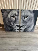 Leeuwenprint Twee Delig plexiglas, Ophalen, 50 tot 75 cm, Zo goed als nieuw, Schilderij