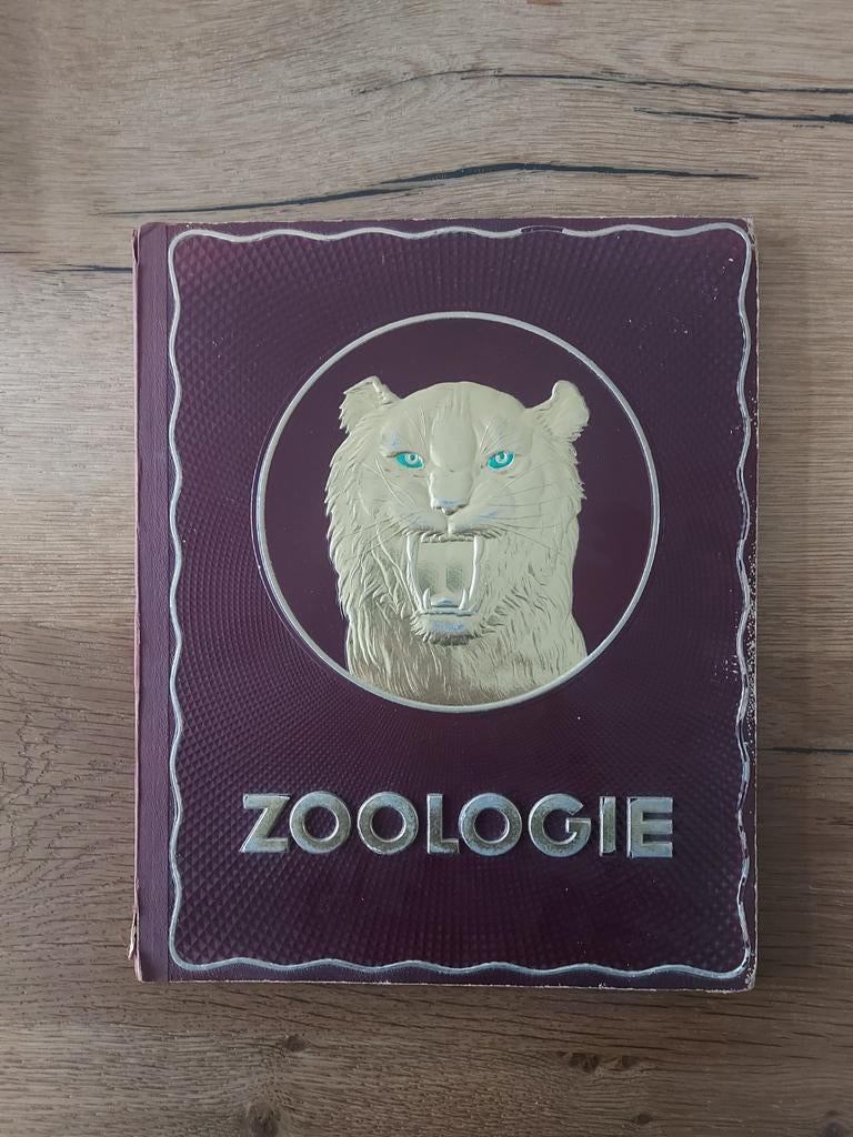 verzamelalbum vintage KWATTA, Verzamelen, Ophalen of Verzenden