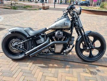 HARLEY-DAVIDSON CROSS BONES FLSTSB (bj 2009) beschikbaar voor biedingen