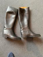 Paardrijlaarzen aigle 43, Dieren en Toebehoren, Paardrijkleding, Ophalen of Verzenden, Zo goed als nieuw, Schoeisel