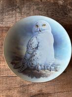 Sneeuwuil Wandbord - Raymond Watson Limoges, Ophalen of Verzenden