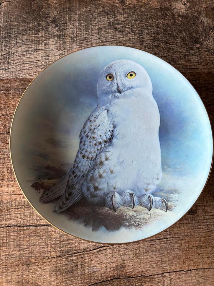 Sneeuwuil Wandbord - Raymond Watson Limoges, Antiek en Kunst, Antiek | Wandborden en Tegels, Ophalen of Verzenden