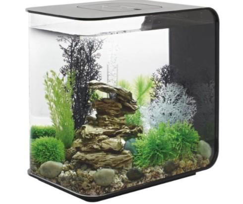 Biorb Flow aquarium 30 liter zwart, Dieren en Toebehoren, Vissen | Aquaria en Toebehoren, Gebruikt, Leeg aquarium, Ophalen of Verzenden