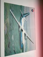 Vintage Fokker CityHopper Poster, Deurposter of groter, Ophalen of Verzenden, Dier of Natuur, Rechthoekig Staand